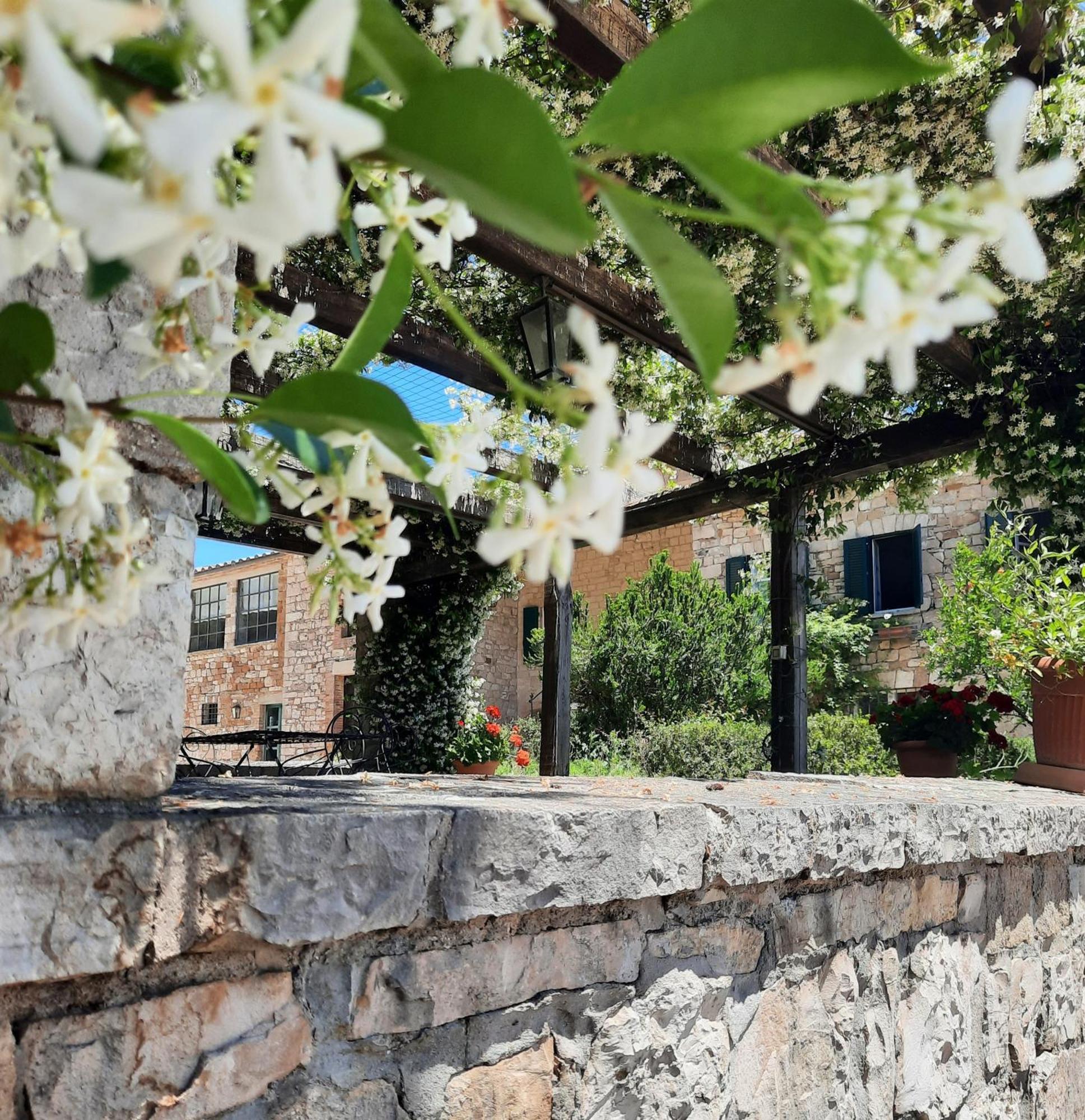 Agriturismo Tenuta Conti Faina Fratta Todina المظهر الخارجي الصورة